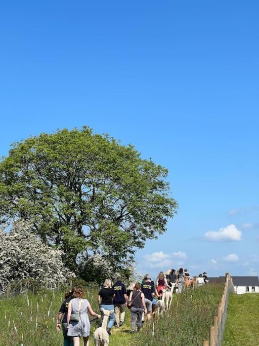 The Alpaca Farmhouse With Hot Tub And Alpaca Experience Included Dromara Exterior foto